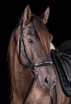 SCHOCKEMOEHLE N.A. English Bridles|Schockemöhle Equitus Theta Bridle
