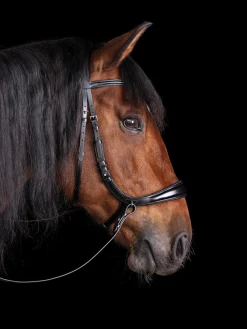 SCHOCKEMOEHLE N.A. English Bridles|Schockemöhle Equitus Theta Bridle