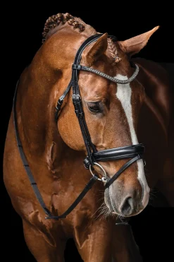 SCHOCKEMOEHLE N.A. English Bridles|Schockemöhle Malaga Bridle