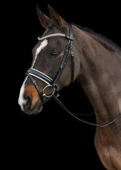 SCHOCKEMOEHLE N.A. English Bridles|Schockemöhle Malaga Bridle