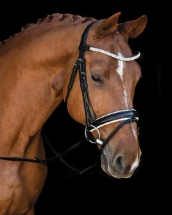 SCHOCKEMOEHLE N.A. English Bridles|Schockemöhle Malaga Bridle