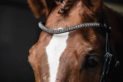 SCHOCKEMOEHLE N.A. English Bridles|Schockemöhle Malaga Bridle