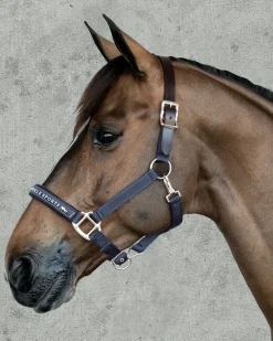 SCHOCKEMOEHLE N.A. Halters|Schockemöhle Memphis Halter