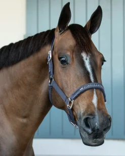 SCHOCKEMOEHLE N.A. Halters|Schockemöhle Memphis Halter