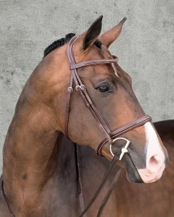 SCHOCKEMOEHLE N.A. English Bridles|Schockemöhle Montreal Select Anatomic Hunter Bridle