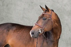 SCHOCKEMOEHLE N.A. English Bridles|Schockemöhle Montreal Select Anatomic Hunter Bridle