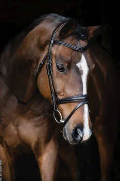 SCHOCKEMOEHLE N.A. English Bridles|Schockemöhle Monza Bridle