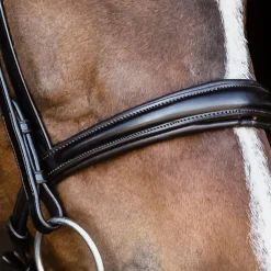 SCHOCKEMOEHLE N.A. English Bridles|Schockemöhle Monza Bridle
