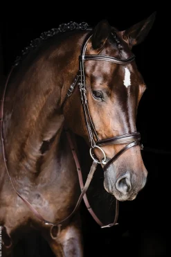 SCHOCKEMOEHLE N.A. English Bridles|Schockemöhle Monza Bridle