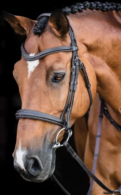 SCHOCKEMOEHLE N.A. English Bridles|Schockemöhle Monza Fancy Stitched Bridle