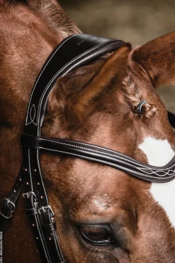 SCHOCKEMOEHLE N.A. English Bridles|Schockemöhle Monza Fancy Stitched Bridle