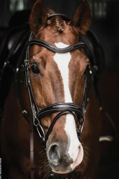SCHOCKEMOEHLE N.A. English Bridles|Schockemöhle Monza Fancy Stitched Bridle