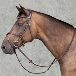 SCHOCKEMOEHLE N.A. English Bridles|Schockemöhle Rio Select Anatomic Figure-8 Bridle