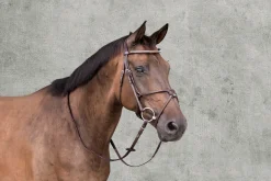 SCHOCKEMOEHLE N.A. English Bridles|Schockemöhle Rio Select Anatomic Figure-8 Bridle