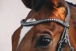 SCHOCKEMOEHLE N.A. English Bridles|Schockemöhle Rome Select Bridle