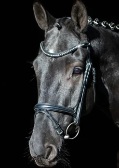 SCHOCKEMOEHLE N.A. English Bridles|Schockemöhle Rome Select Bridle