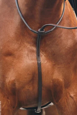 SCHOCKEMOEHLE N.A. Martingales & Breastplates|Schockemöhle Santa Clara Standing Martingale