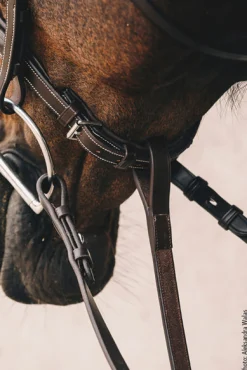 SCHOCKEMOEHLE N.A. Martingales & Breastplates|Schockemöhle Santa Clara Standing Martingale