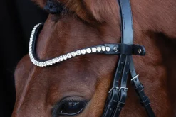 SCHOCKEMOEHLE N.A. Bridle Parts & Accessories|Schockemöhle Siena Browband
