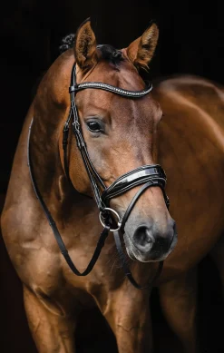 SCHOCKEMOEHLE N.A. English Bridles|Schockemöhle Standford Glam Bridle