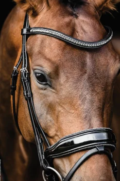 SCHOCKEMOEHLE N.A. English Bridles|Schockemöhle Standford Glam Bridle
