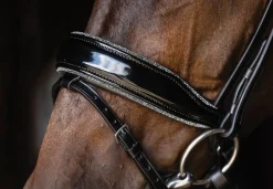 SCHOCKEMOEHLE N.A. English Bridles|Schockemöhle Standford Glam Bridle