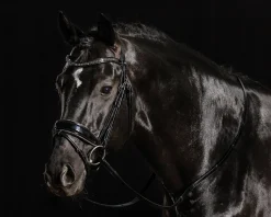 SCHOCKEMOEHLE N.A. English Bridles|Schockemöhle Standford Glam Bridle