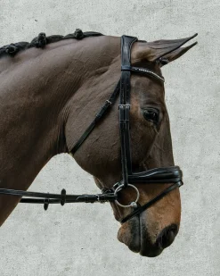 SCHOCKEMOEHLE N.A. English Bridles|Schockemöhle Stanford Bridle
