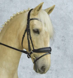 SCHOCKEMOEHLE N.A. English Bridles|Schockemöhle Stanford Bridle