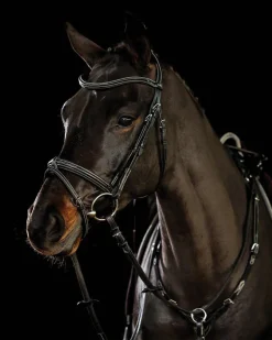 SCHOCKEMOEHLE N.A. English Bridles|Schockemöhle Tokyo F Bridle