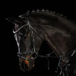 SCHOCKEMOEHLE N.A. English Bridles|Schockemöhle Tokyo F Bridle