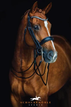 SCHOCKEMOEHLE N.A. English Bridles|Schockemöhle Venice Double Bridle