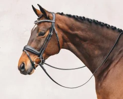 SCHOCKEMOEHLE N.A. English Bridles|Schockemöhle Malibu Bridle