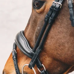 SCHOCKEMOEHLE N.A. English Bridles|Schockemöhle Malibu Bridle