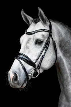 SCHOCKEMOEHLE N.A. English Bridles|Schockemöhle Malibu Bridle