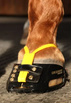 INTREPID INTL Hoof & Hock Boots|Scoot Boot Adjust Hoof Boots - Pair