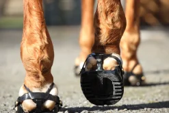 INTREPID INTL Hoof & Hock Boots|Scoot Boot Adjust Hoof Boots - Pair