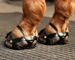 INTREPID INTL Hoof & Hock Boots|Scoot Boot Adjust Hoof Boots - Pair