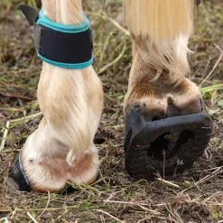 INTREPID INTL Hoof & Hock Boots|Scoot Boot Skins Glue-On - 2 Pack