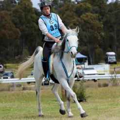 INTREPID INTL Hoof & Hock Boots|Scoot Boot Skins Glue-On - 2 Pack