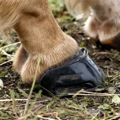 INTREPID INTL Hoof & Hock Boots|Scoot Boot Skins Glue-On - 2 Pack