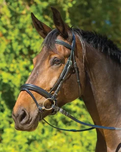 SHIRES EQUESTRIAN English Bridles|Shires Avignon Aspen Bridle