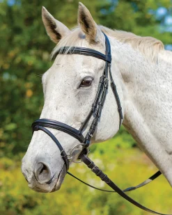 SHIRES EQUESTRIAN English Bridles|Shires Avignon Louisville Bridle