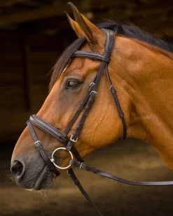 SHIRES EQUESTRIAN English Bridles|Shires Avignon Louisville Bridle