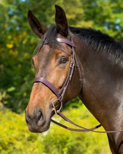 SHIRES EQUESTRIAN English Bridles|Shires Avignon Middleburg Hunt Bridle