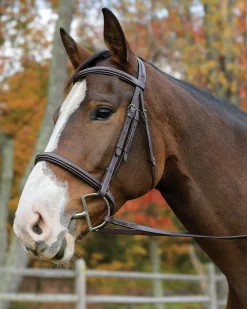 SHIRES EQUESTRIAN English Bridles|Shires Avignon Nashville Bridle