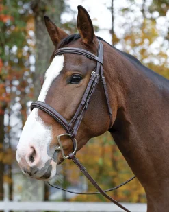 SHIRES EQUESTRIAN English Bridles|Shires Avignon Ocala Bridle