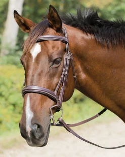 SHIRES EQUESTRIAN English Bridles|Shires Avignon Wellington Bridle