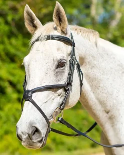SHIRES EQUESTRIAN English Bridles|Shires Avignon Woodside Bridle
