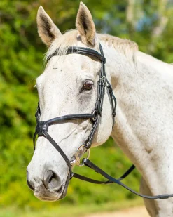 SHIRES EQUESTRIAN English Bridles|Shires Avignon Woodside Bridle